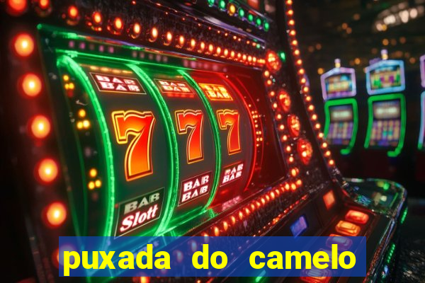 puxada do camelo jogo do bicho